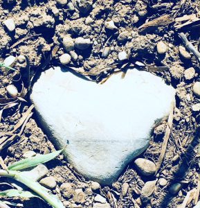 Kinderwunsch-Kindersehnsucht-Muttertag-Liebe-einsam-traurig-hilflos-was tun-Coach-Coaching-Ferber
